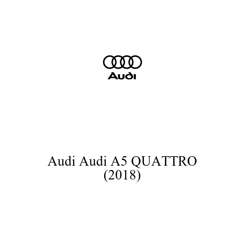 Binek Araç Aküsü | Audi A5 QUATTRO 2018 Model Uyumlu
