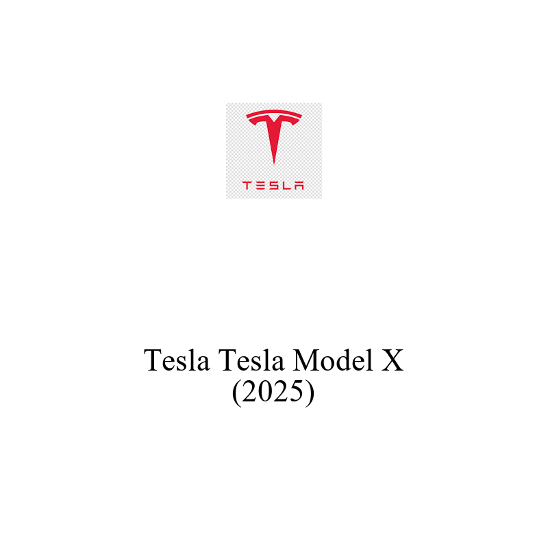 Binek Araç Aküsü | Tesla Model X 2025 Model Uyumlu
