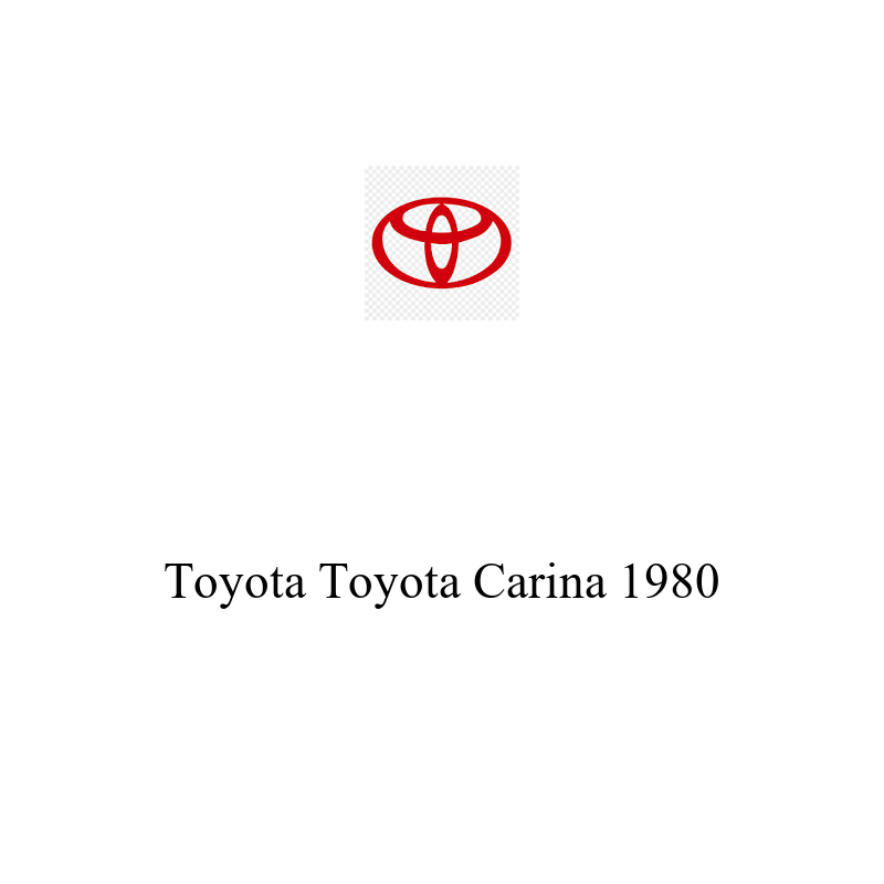 Binek Araç Aküsü | Toyota Carina 1980 Model Uyumlu